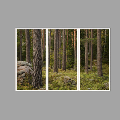 LED-Wandbild Dreiteiler hochkant 180x120 cm – Wald