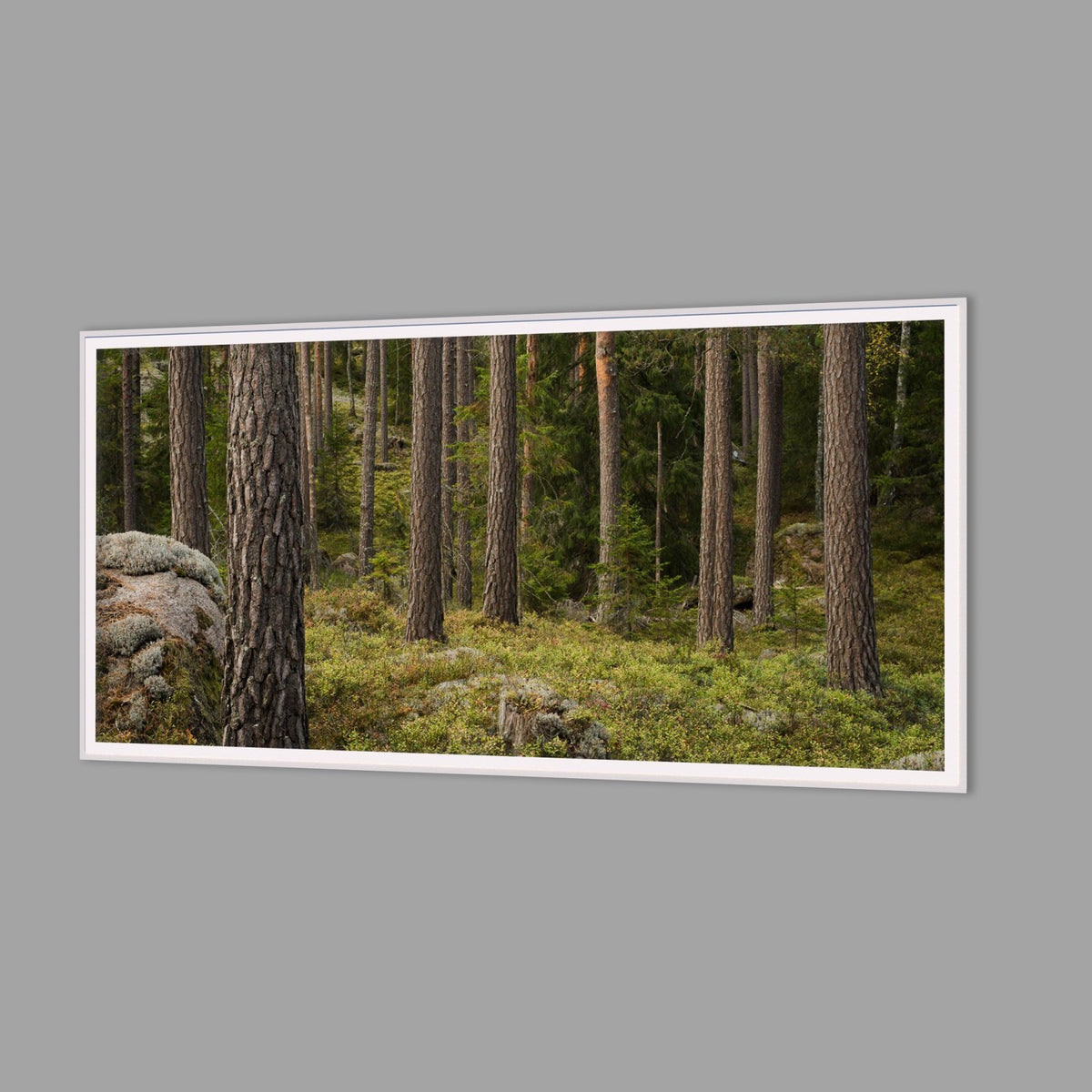 LED-Wandbild 60x120 cm quer – Wald