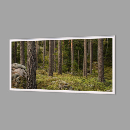 LED-Wandbild 60x120 cm quer – Wald