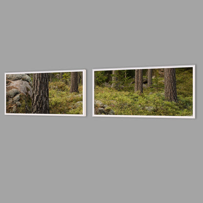 LED-Wandbild Zweiteiler quer mit Abstand – Wald