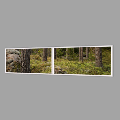 LED-Wandbild Zweiteiler quer 240x60 cm – Wald