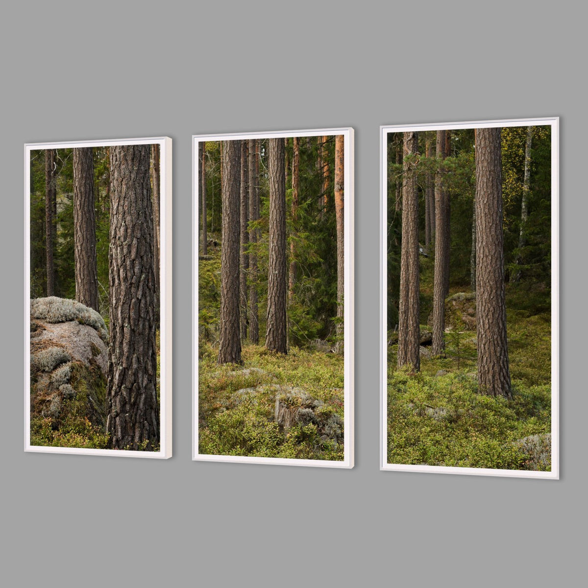 LED-Wandbild Dreiteiler hochkant mit Abstand – Wald