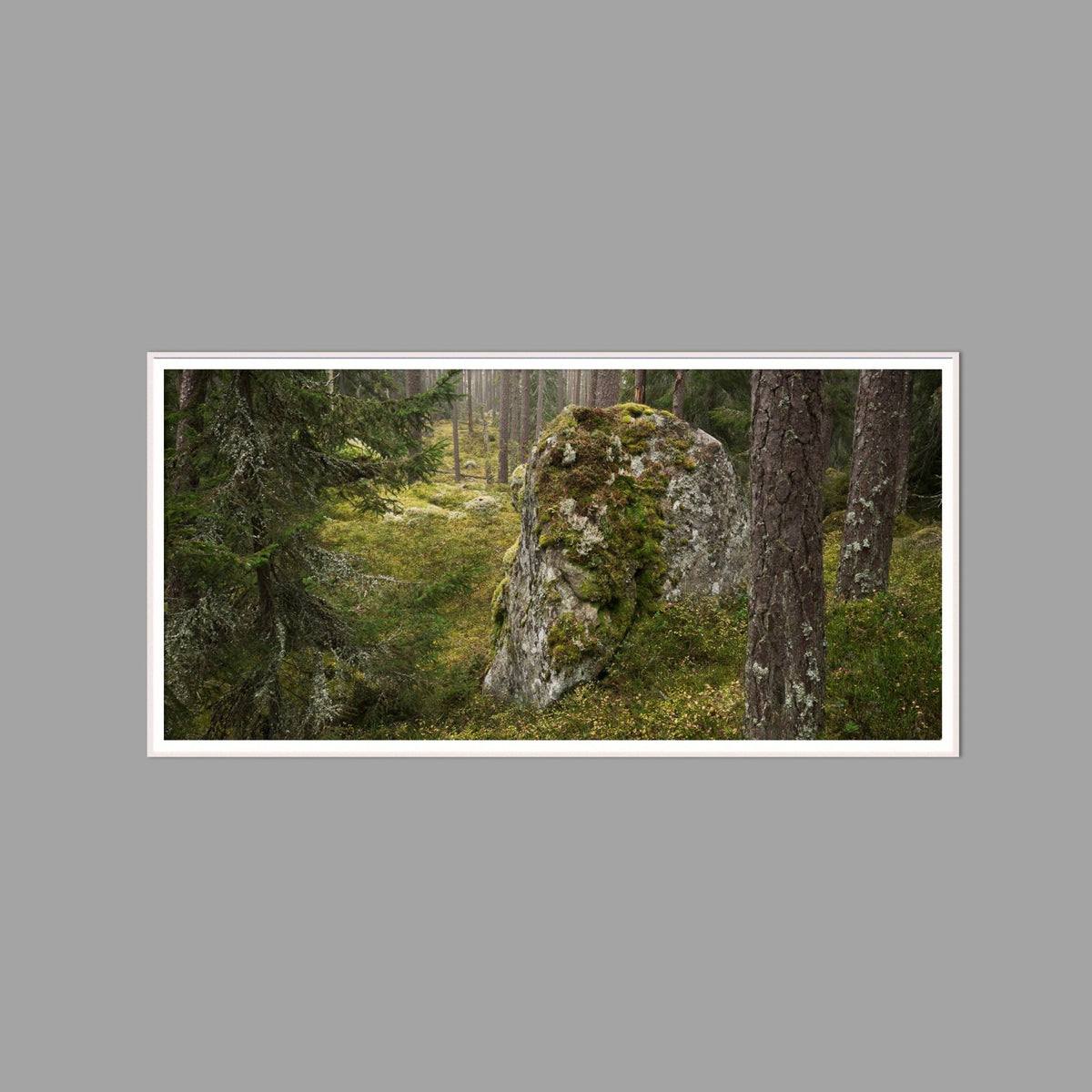LED-Wandbild 60x120 cm quer – Wald