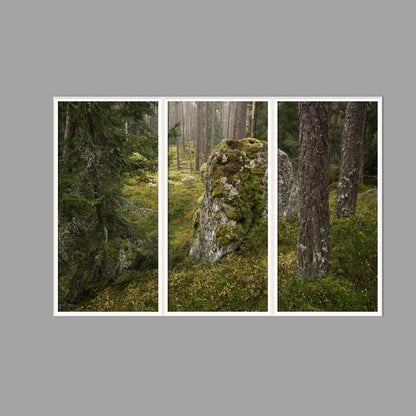 LED-Wandbild Dreiteiler hochkant 180x120 cm – Wald