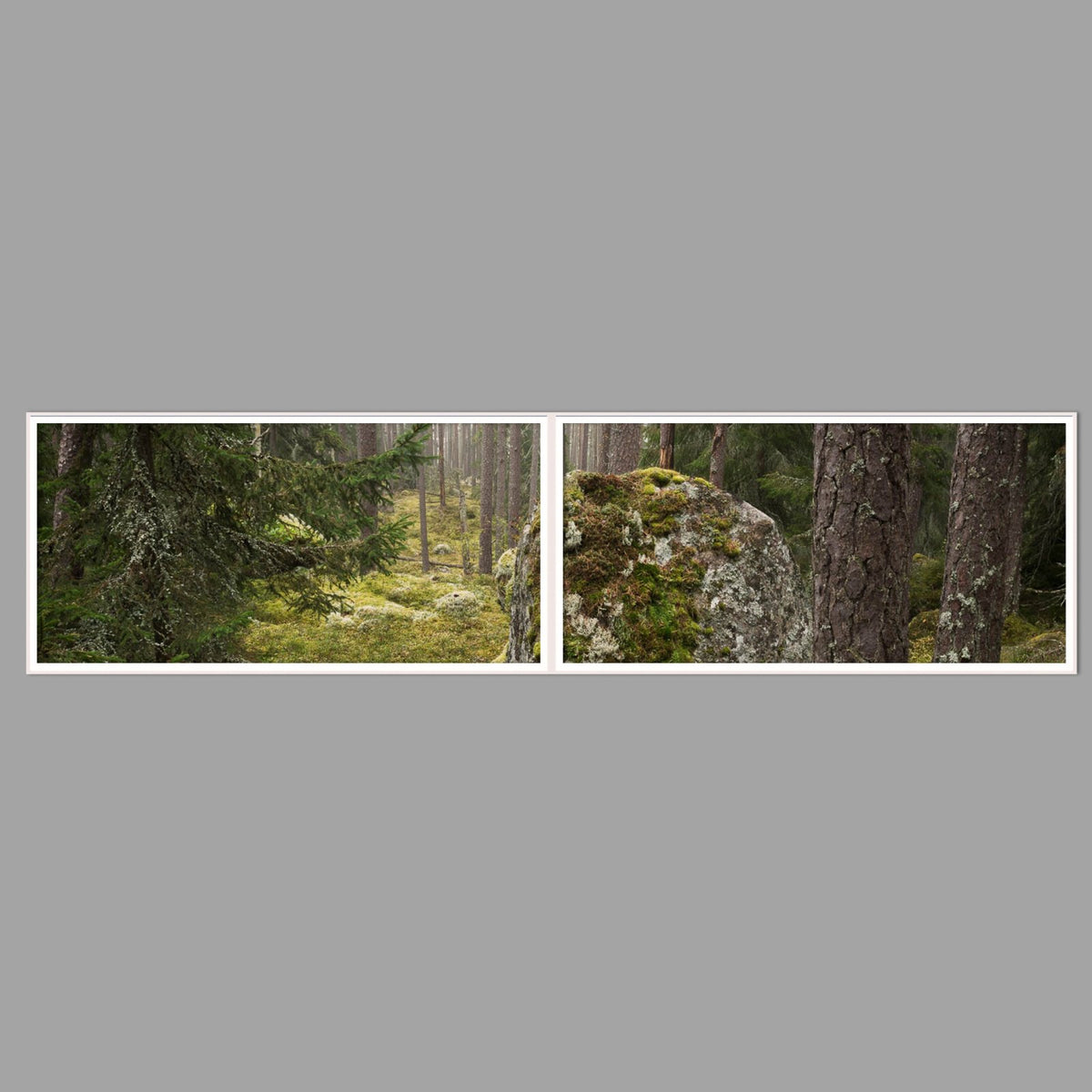 LED-Wandbild Zweiteiler quer 240x60 cm – Wald