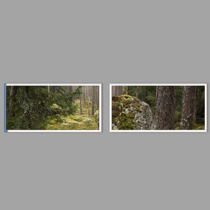 LED-Wandbild Zweiteiler quer mit Abstand – Wald