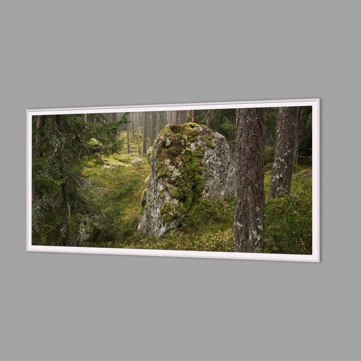 LED-Wandbild 60x120 cm quer – Wald