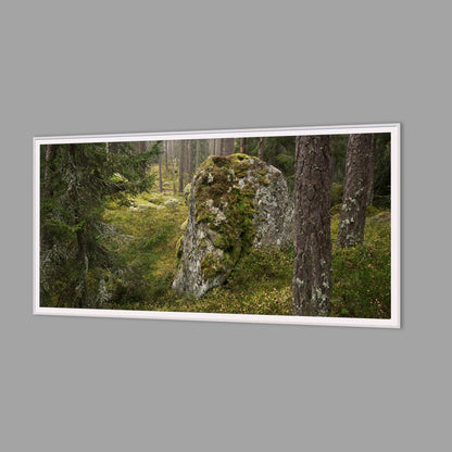 LED-Wandbild 60x120 cm quer – Wald