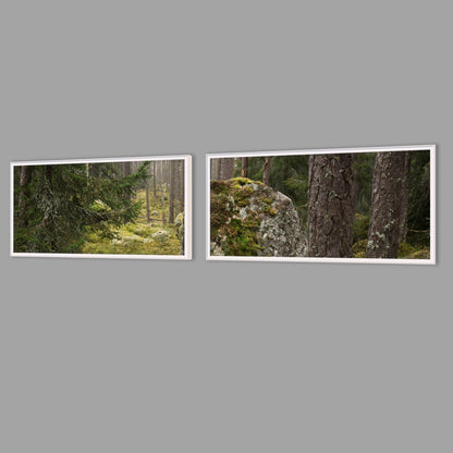 LED-Wandbild Zweiteiler quer mit Abstand – Wald