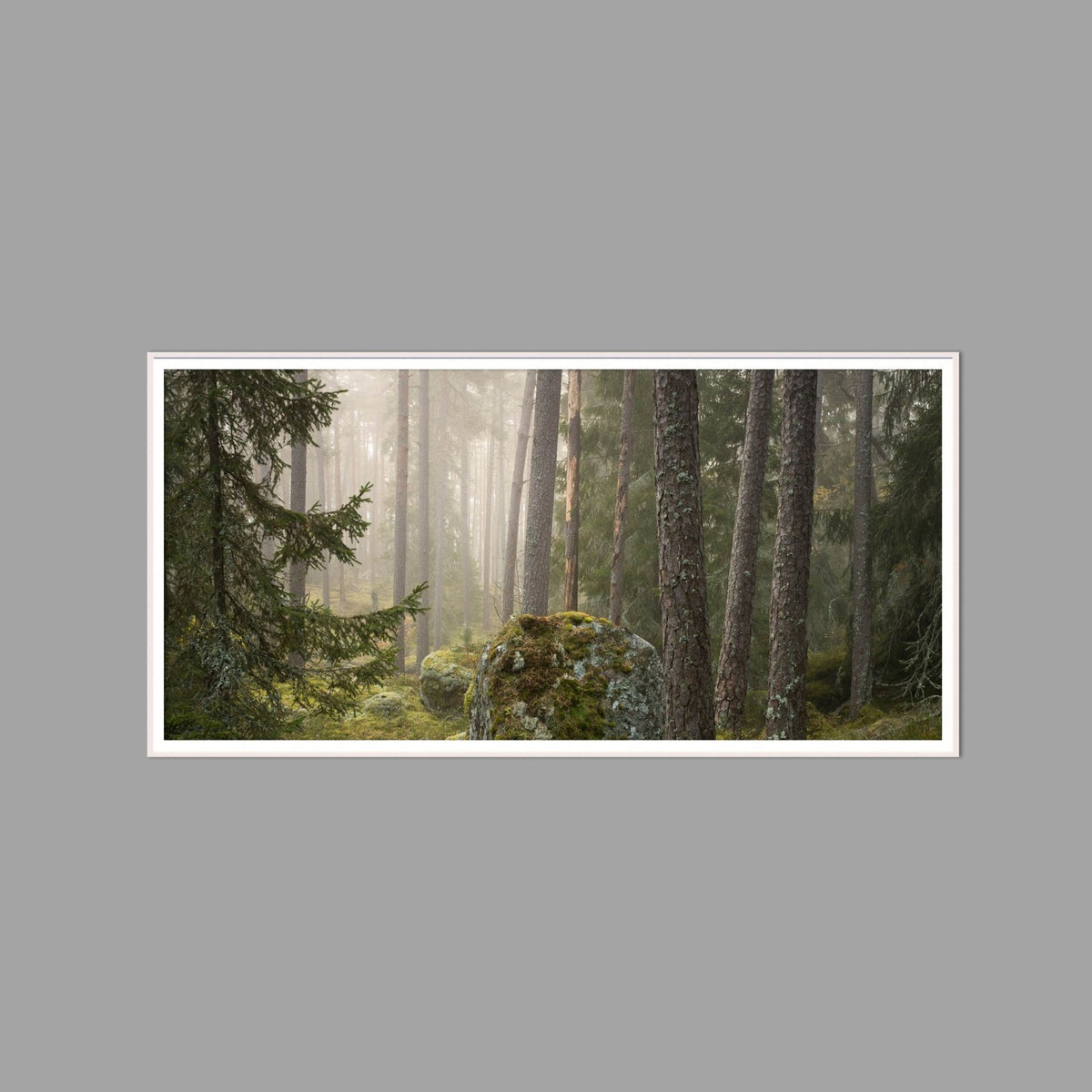 LED-Wandbild 60x120 cm quer – Wald
