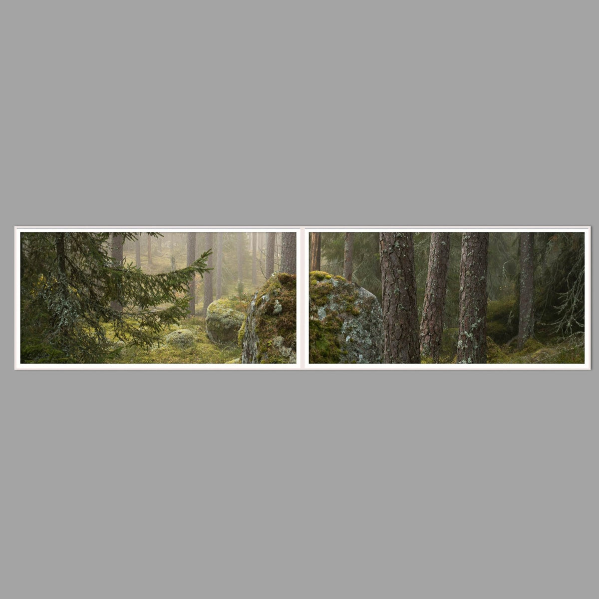 LED-Wandbild Zweiteiler quer 240x60 cm – Wald