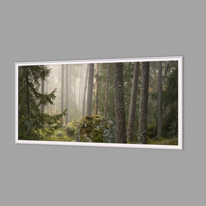 LED-Wandbild 60x120 cm quer – Wald