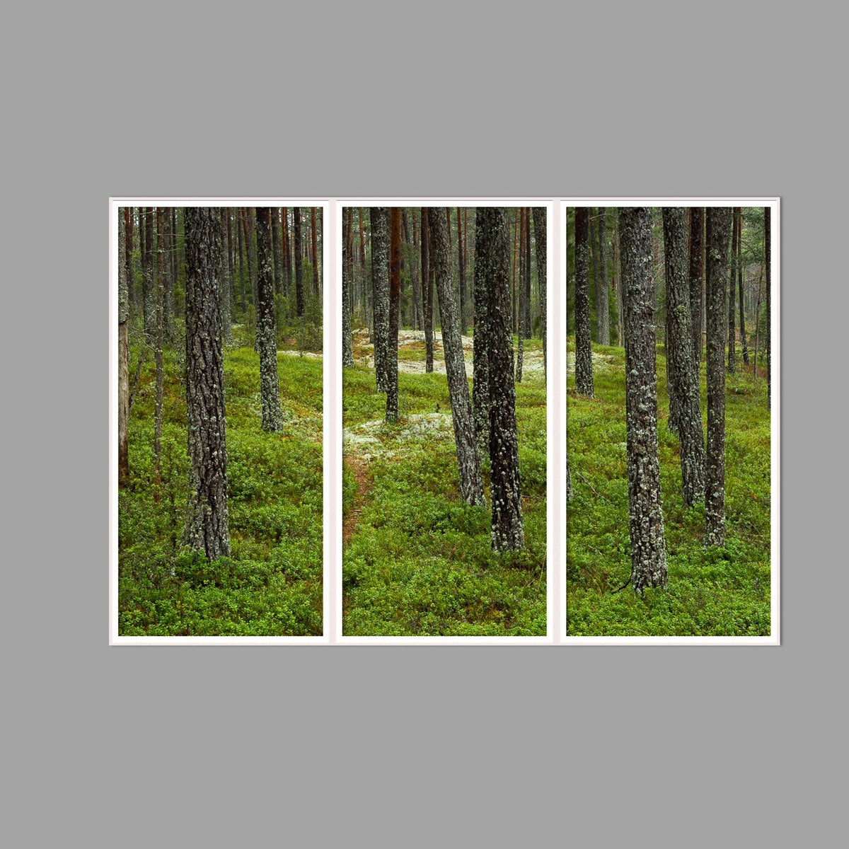 LED-Wandbild Dreiteiler hochkant 180x120 cm – Wald