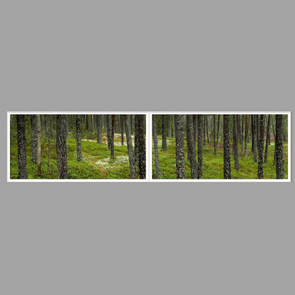 LED-Wandbild Zweiteiler quer 240x60 cm – Wald