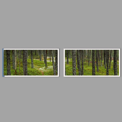 LED-Wandbild Zweiteiler quer mit Abstand – Wald
