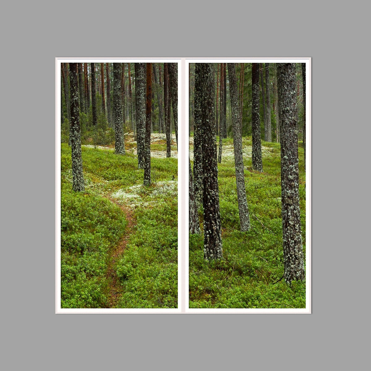 LED-Wandbild Zweiteiler hochkant 120x120 cm – Wald