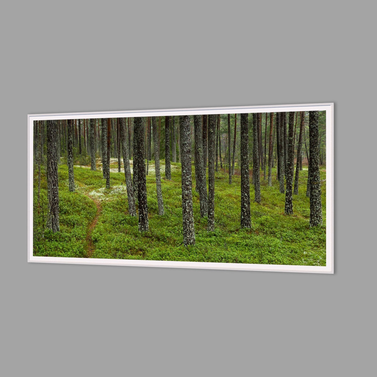LED-Wandbild 60x120 cm quer – Wald