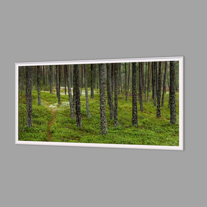 LED-Wandbild 60x120 cm quer – Wald