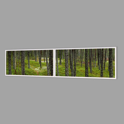 LED-Wandbild Zweiteiler quer 240x60 cm – Wald