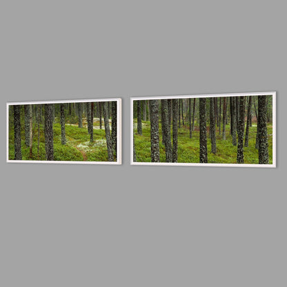 LED-Wandbild Zweiteiler quer mit Abstand – Wald
