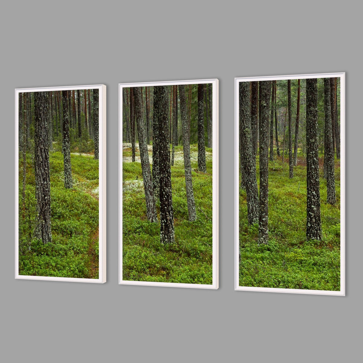 LED-Wandbild Dreiteiler hochkant mit Abstand – Wald