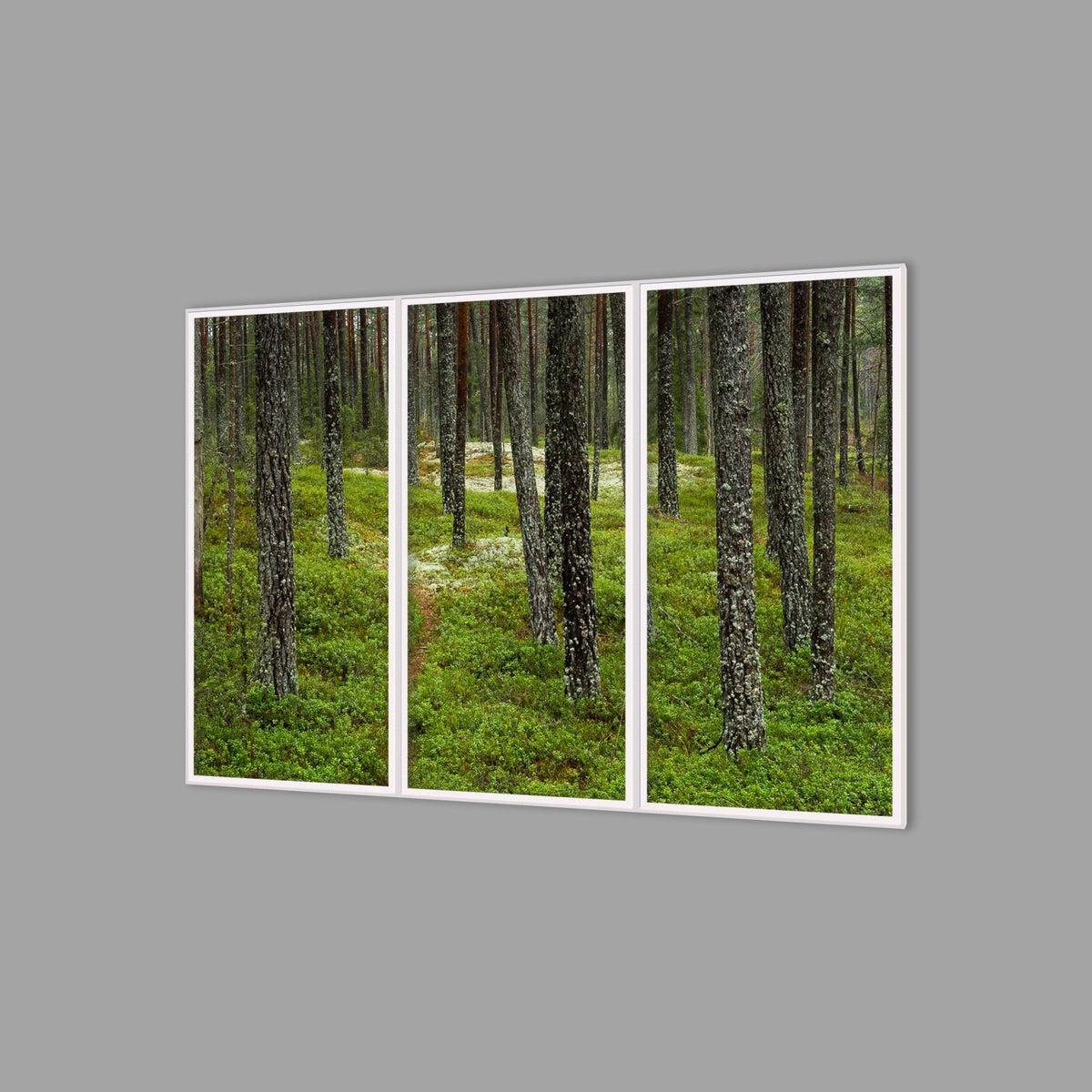 LED-Wandbild Dreiteiler hochkant 180x120 cm – Wald