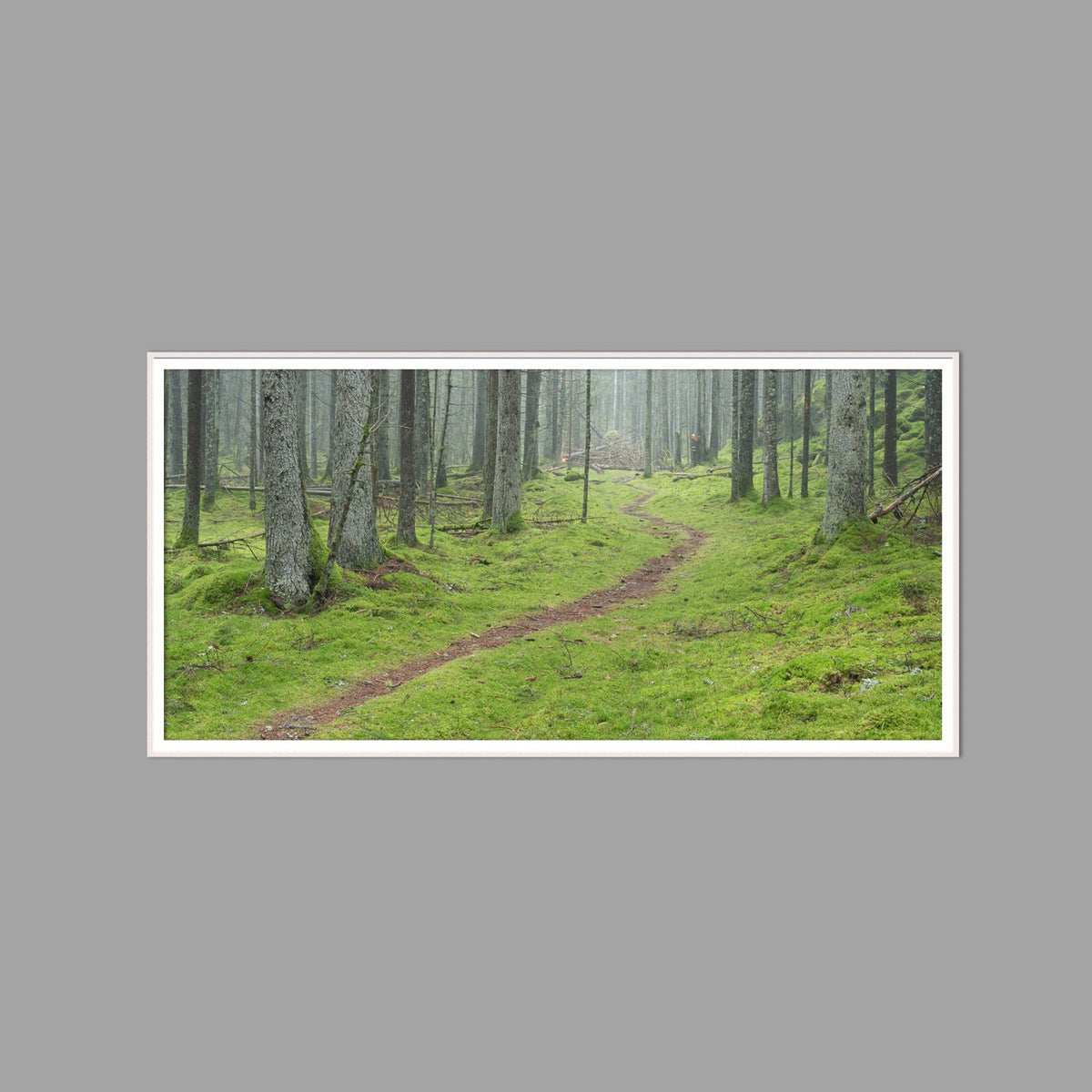 LED-Wandbild 60x120 cm quer – Wald