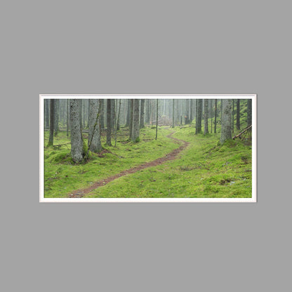 LED-Wandbild 60x120 cm quer – Wald