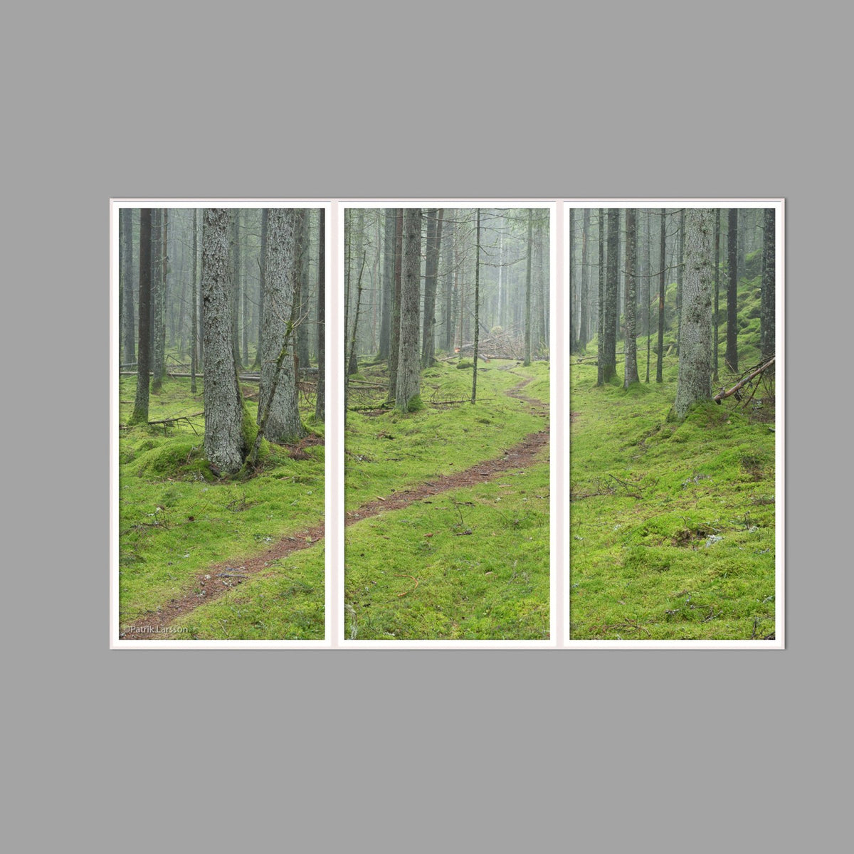 LED-Wandbild Dreiteiler hochkant 180x120 cm – Wald