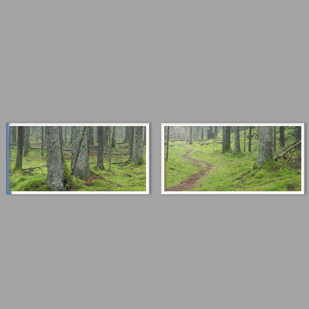 LED-Wandbild Zweiteiler quer mit Abstand – Wald