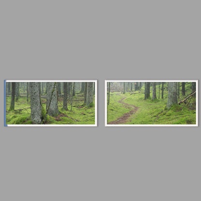 LED-Wandbild Zweiteiler quer mit Abstand – Wald