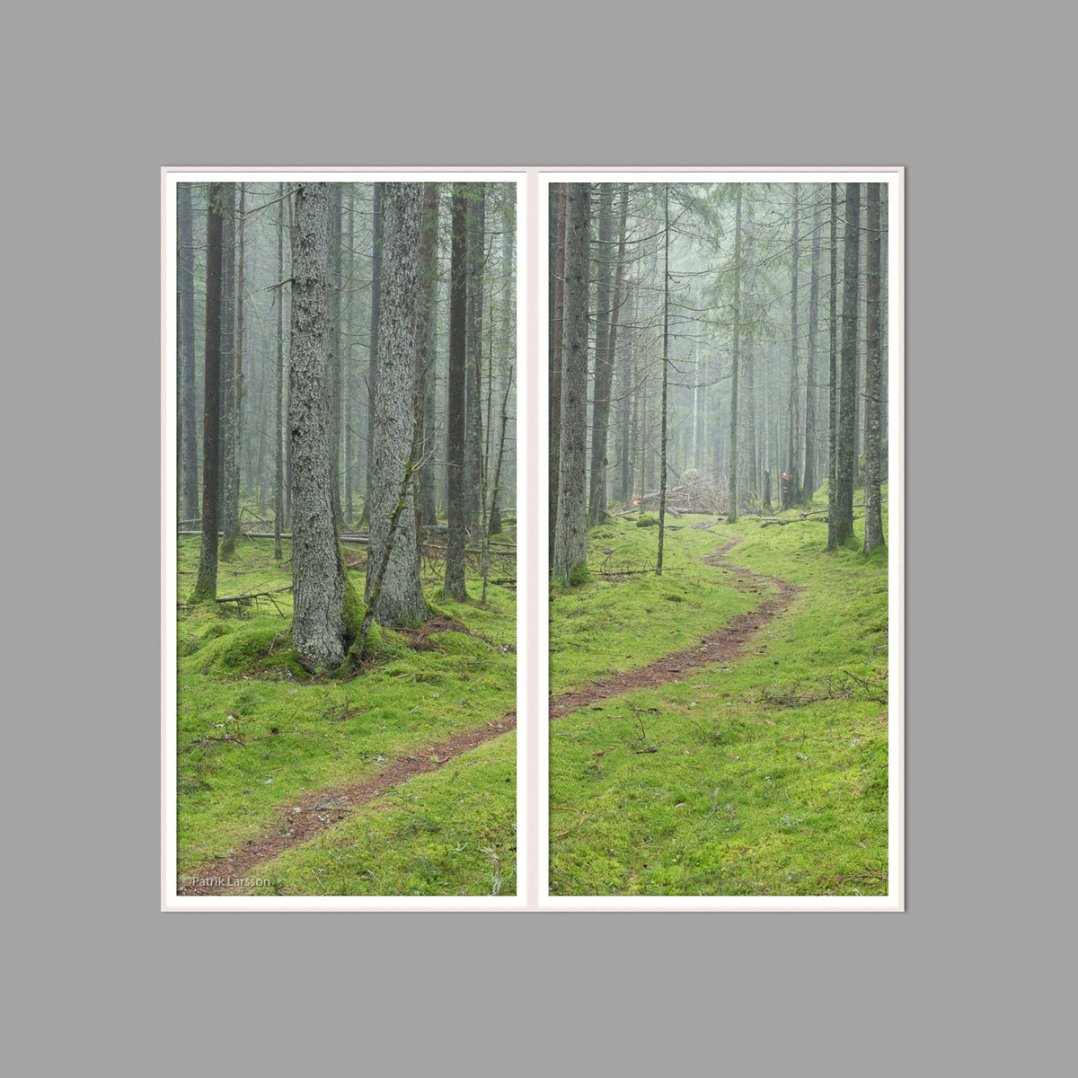 LED-Wandbild Zweiteiler hochkant 120x120 cm – Wald