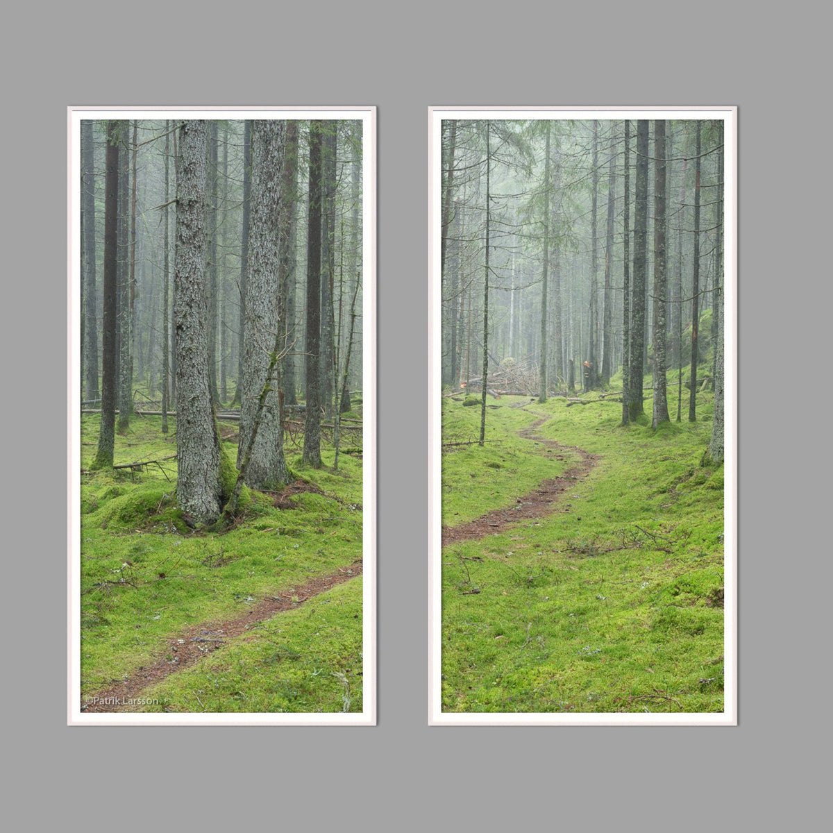 LED-Wandbild Zweiteiler hochkant mit Abstand – Wald