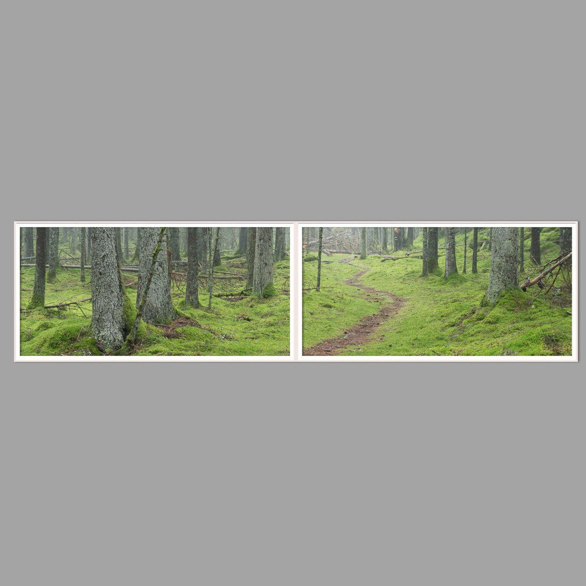 LED-Wandbild Zweiteiler quer 240x60 cm – Wald