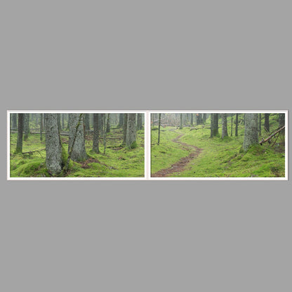 LED-Wandbild Zweiteiler quer 240x60 cm – Wald
