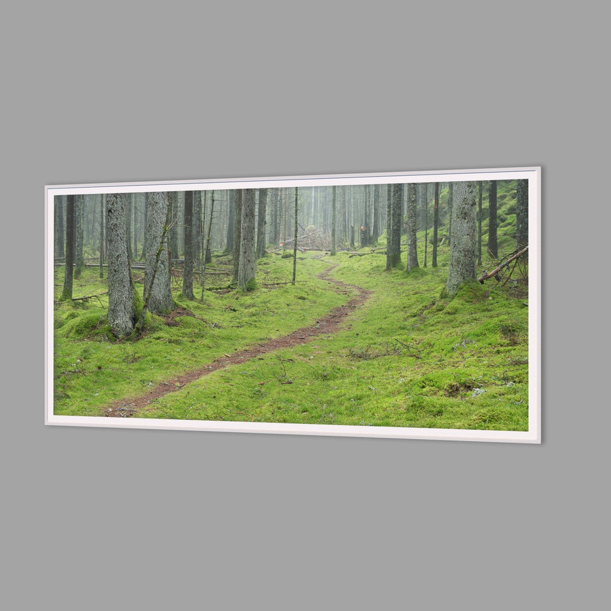 LED-Wandbild 60x120 cm quer – Wald