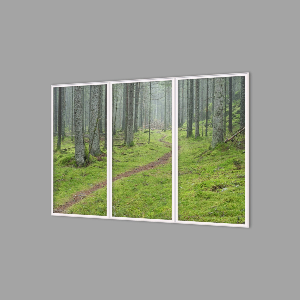 LED-Wandbild Dreiteiler hochkant 180x120 cm – Wald