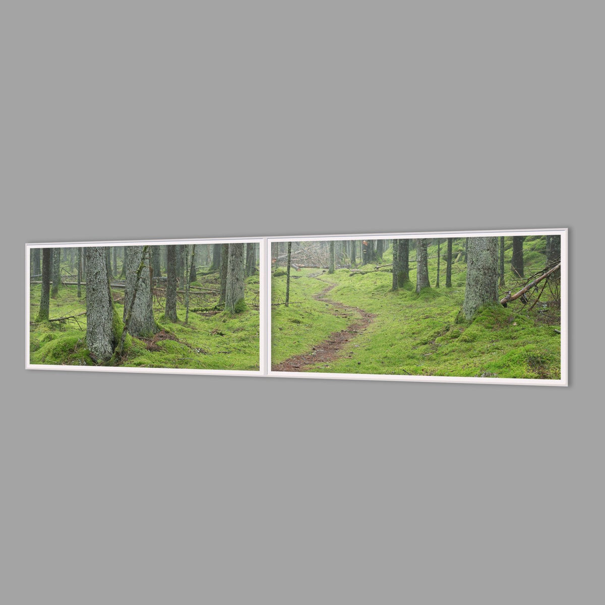 LED-Wandbild Zweiteiler quer 240x60 cm – Wald
