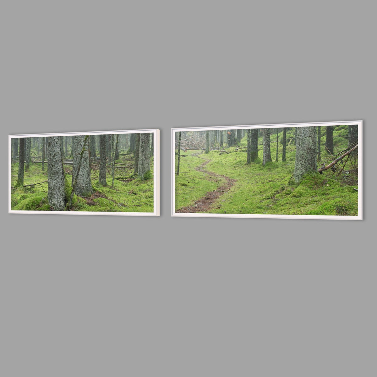 LED-Wandbild Zweiteiler quer mit Abstand – Wald
