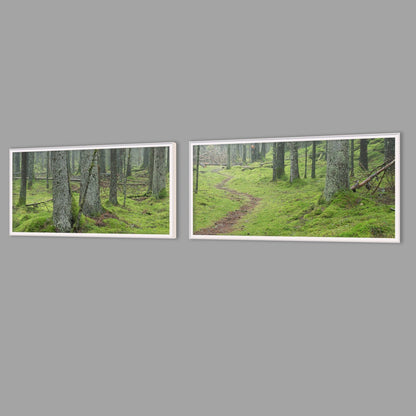 LED-Wandbild Zweiteiler quer mit Abstand – Wald