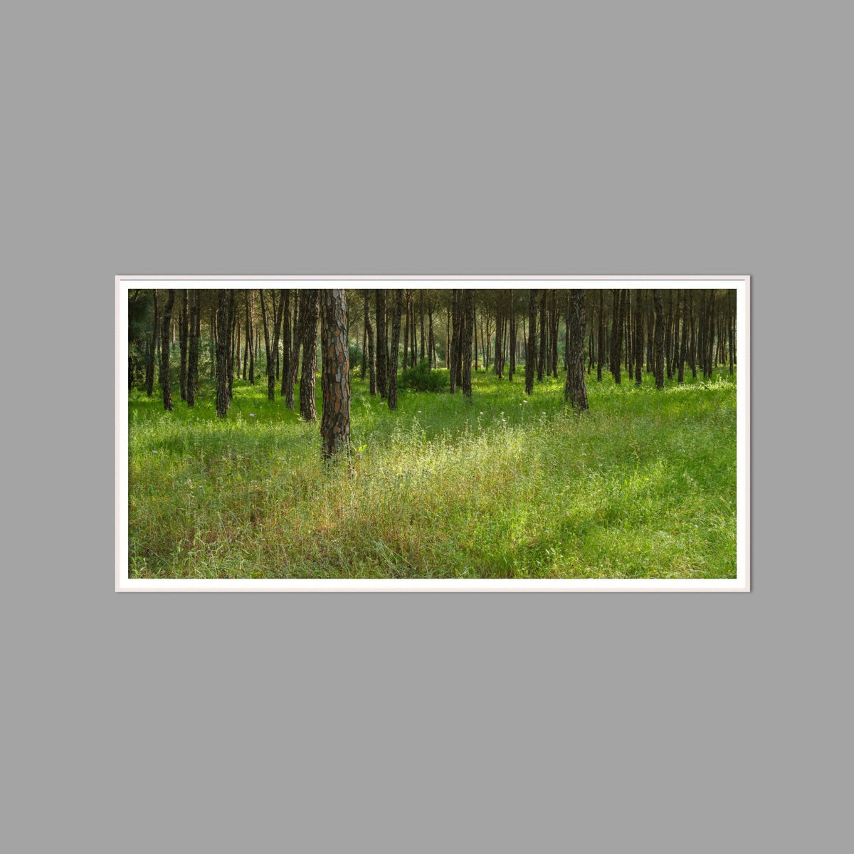 LED-Wandbild 60x120 cm quer – Wald