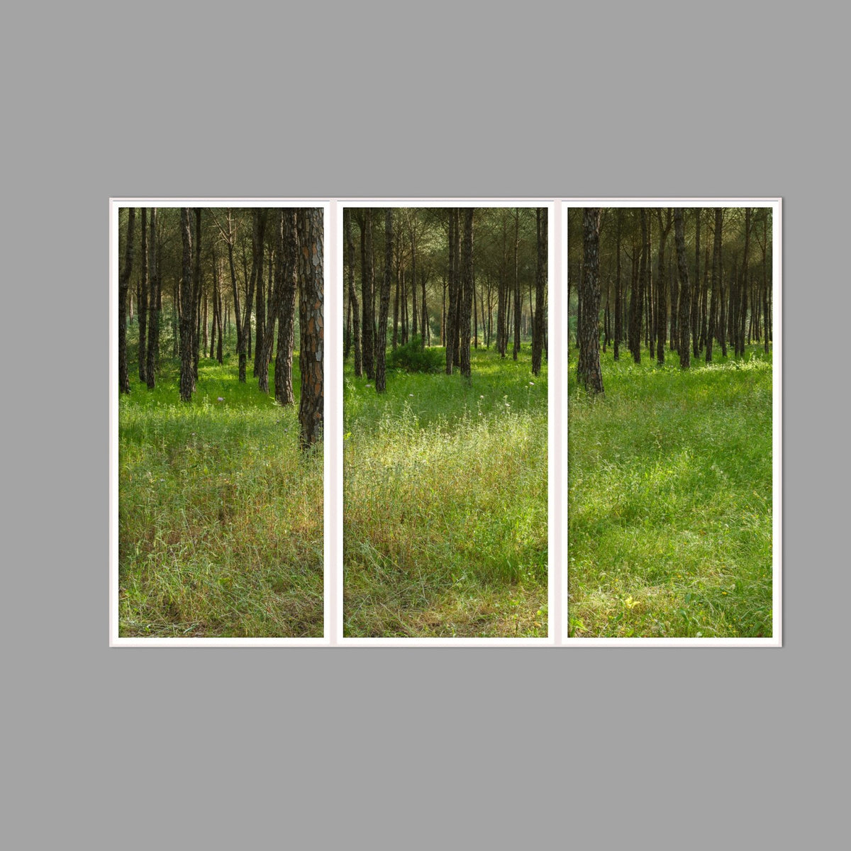 LED-Wandbild Dreiteiler hochkant 180x120 cm – Wald