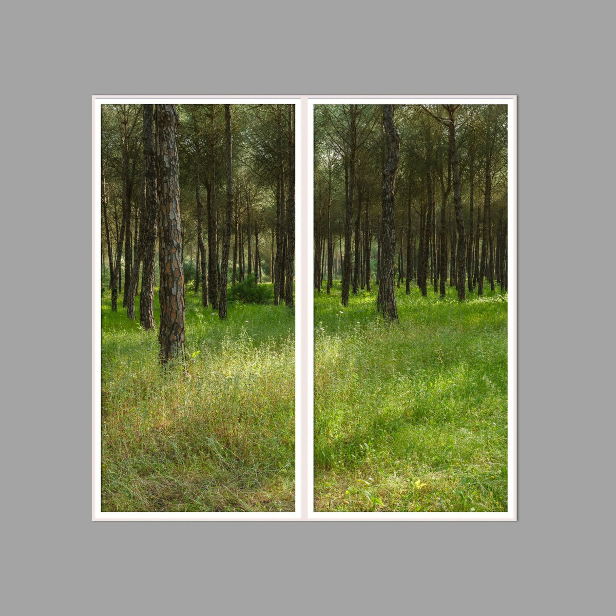 LED-Wandbild Zweiteiler hochkant 120x120 cm – Wald
