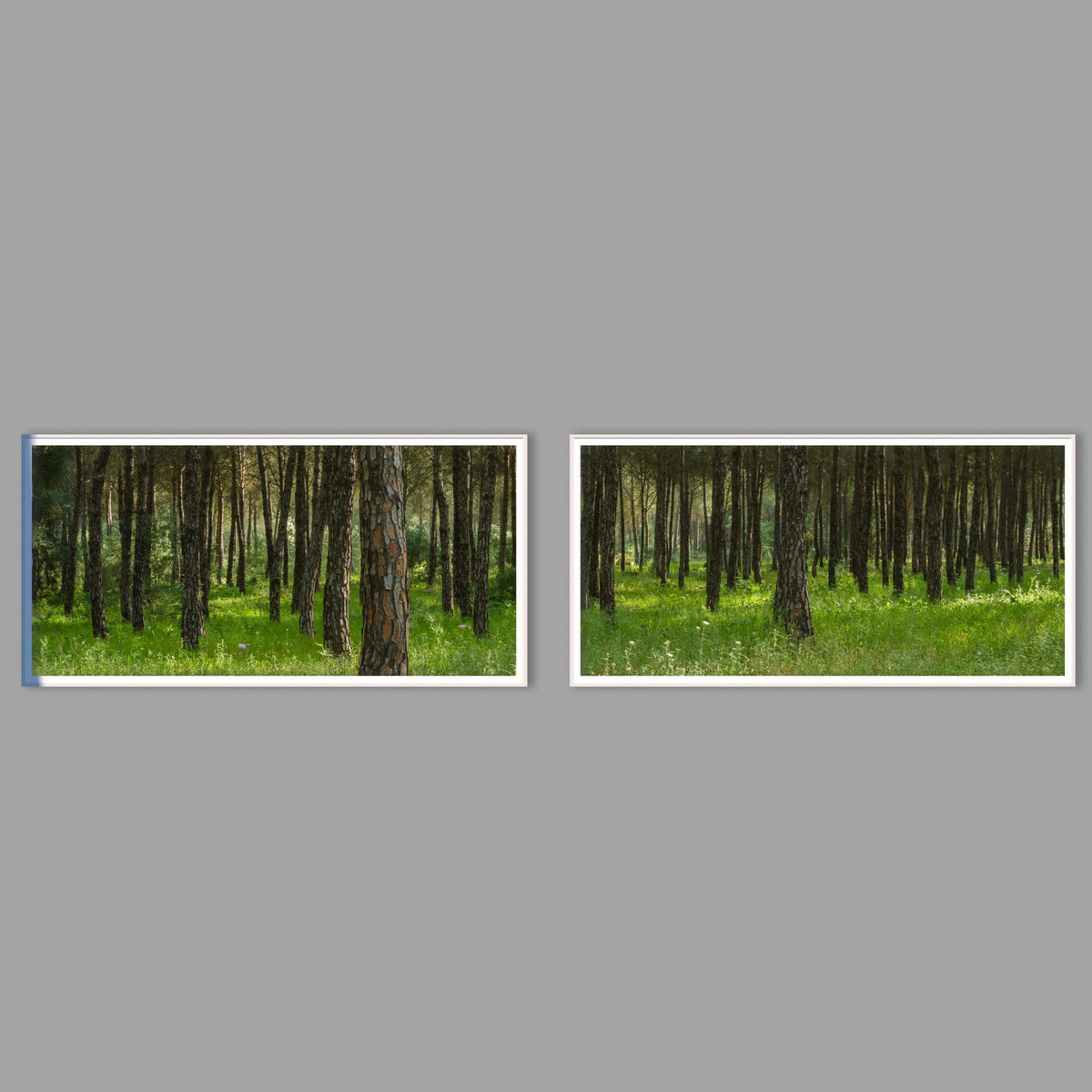 LED-Wandbild Zweiteiler quer mit Abstand – Wald