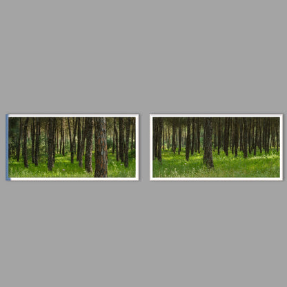 LED-Wandbild Zweiteiler quer mit Abstand – Wald