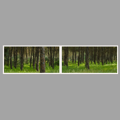 LED-Wandbild Zweiteiler quer 240x60 cm – Wald