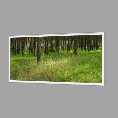 LED-Wandbild 60x120 cm quer – Wald
