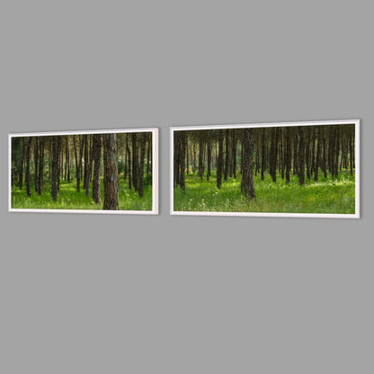 LED-Wandbild Zweiteiler quer mit Abstand – Wald
