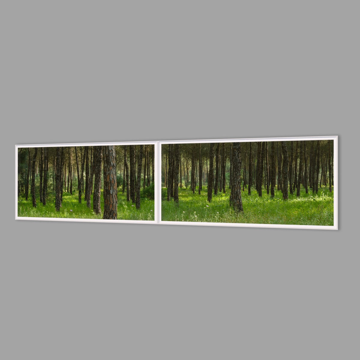 LED-Wandbild Zweiteiler quer 240x60 cm – Wald
