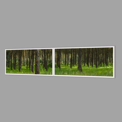 LED-Wandbild Zweiteiler quer 240x60 cm – Wald